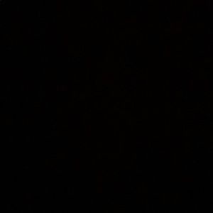 Meet your Posher, Darryl